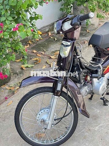 Honda Dream Thái 54 redleo