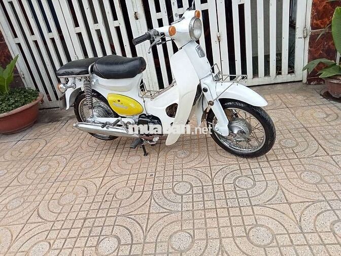 Honda Little Cúp 50cc nhập khẩu chính hãng Honda 