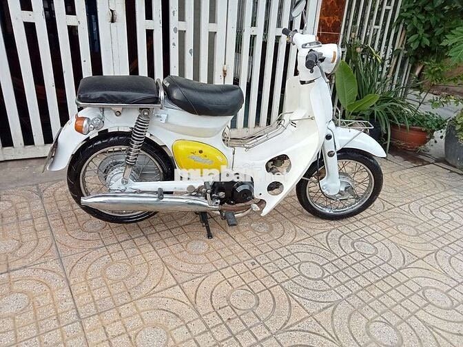 Honda Little Cúp 50cc nhập khẩu chính hãng Honda 