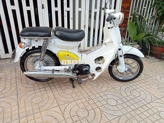 Honda Little Cúp 50cc nhập khẩu chính hãng Honda 