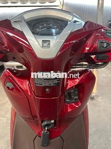 Honda LEAD 125 Fi 2019 Đỏ bạc 39000km