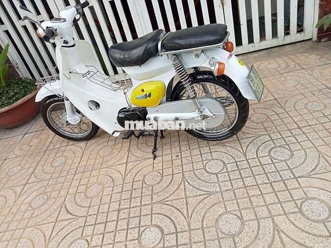 Honda Little Cúp 50cc nhập khẩu chính hãng Honda 