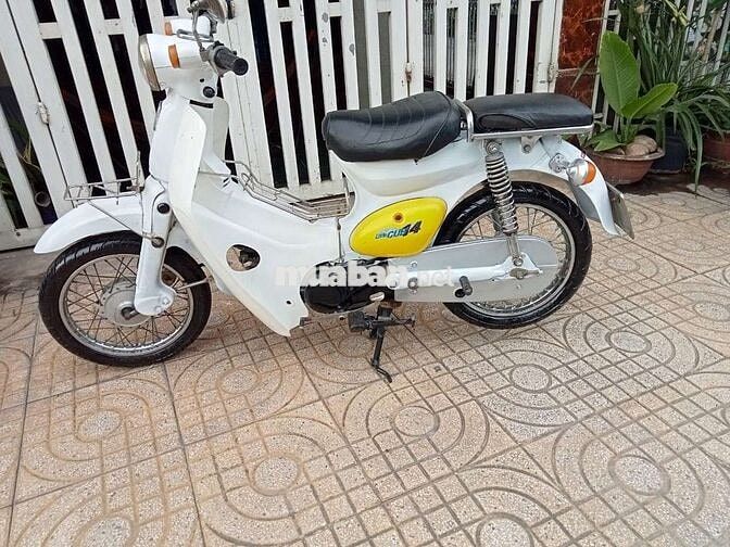 Honda Little Cúp 50cc nhập khẩu chính hãng Honda 