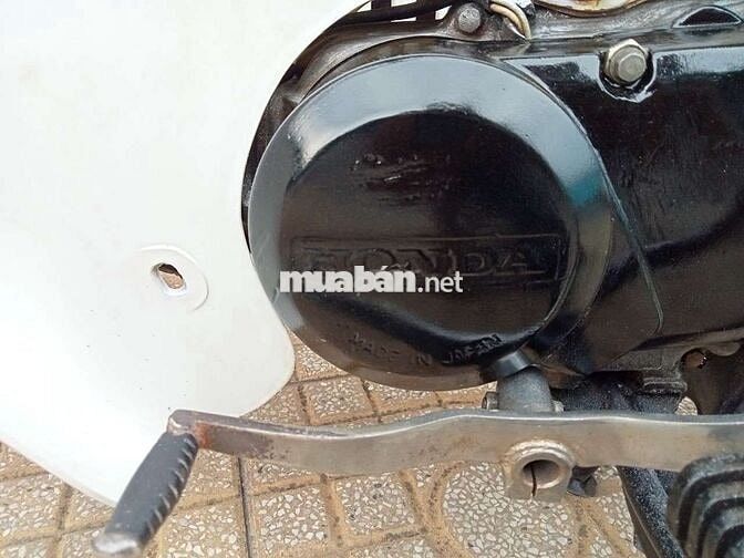 Honda Little Cúp 50cc nhập khẩu chính hãng Honda 