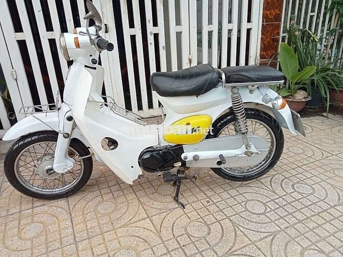 Honda Little Cúp 50cc nhập khẩu chính hãng Honda 
