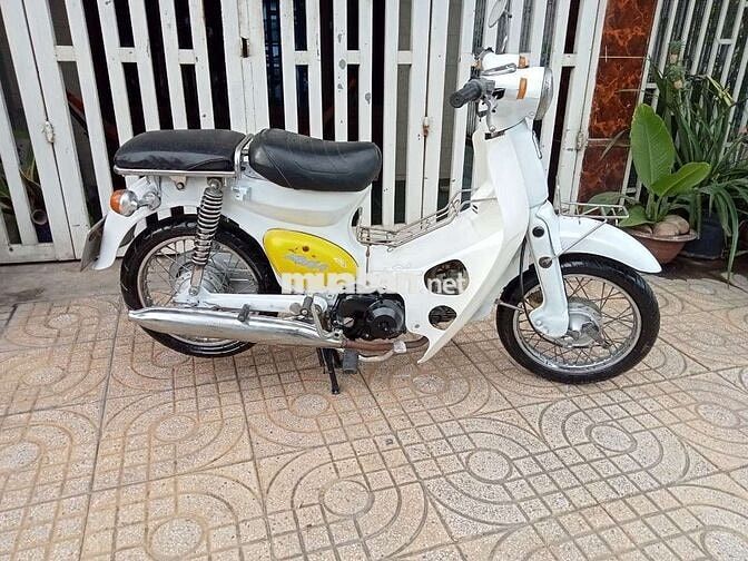 Honda Little Cúp 50cc nhập khẩu chính hãng Honda 