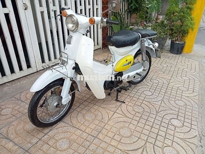 Honda Little Cúp 50cc nhập khẩu chính hãng Honda 