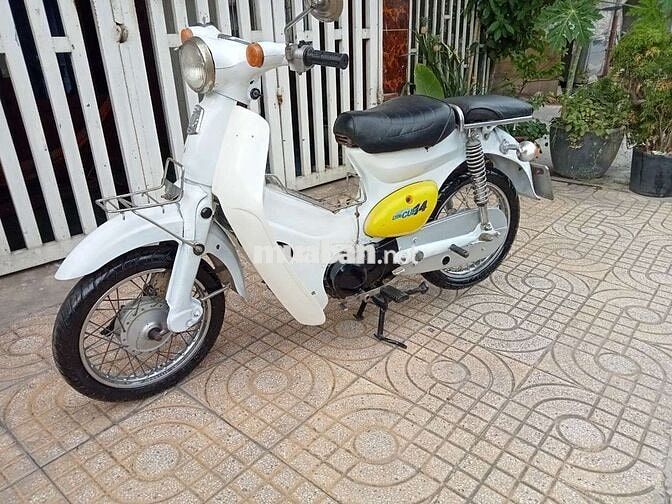 Honda Little Cúp 50cc nhập khẩu chính hãng Honda 