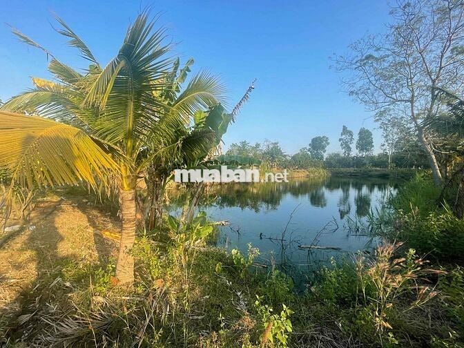 Chính chủ bán 20.000m2 đất Huyện Xuyên Mộc (nay thuộc TP.HCM) - 145m m