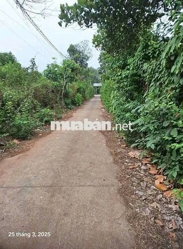 ĐẤT Ở BẢO VINH /LONG KHÁNH- SỔ CHÍNH CHỦ- BUÔNG SỔ- THỎA THUẬN NHẸ