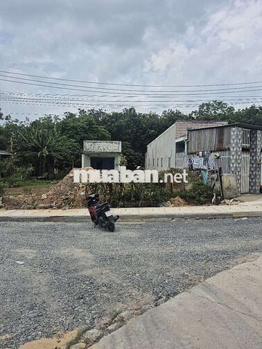 Bán Lô đất Tân Hiệp 52. Ngay Giáp vách KCN Đại Đăng. Giá Cần Bán