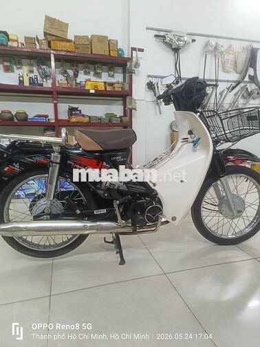 Cúp châu âu 50cc 2021  nguyên zin mới 90%