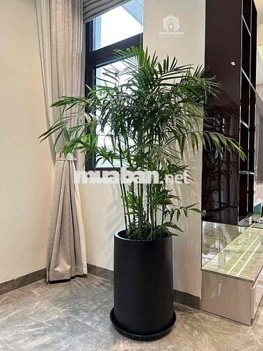Nhà mặt tiền đẹp cho thuê giá cực rẻ