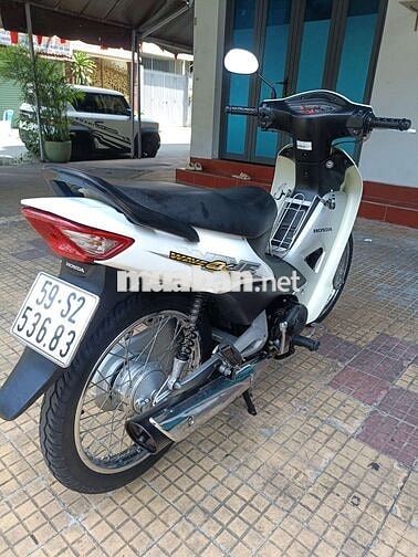 cọp rừng Alpha 2016. 9 chủ. bstp