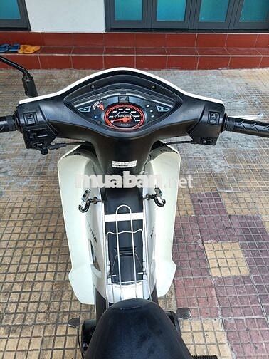 cọp rừng Alpha 2016. 9 chủ. bstp
