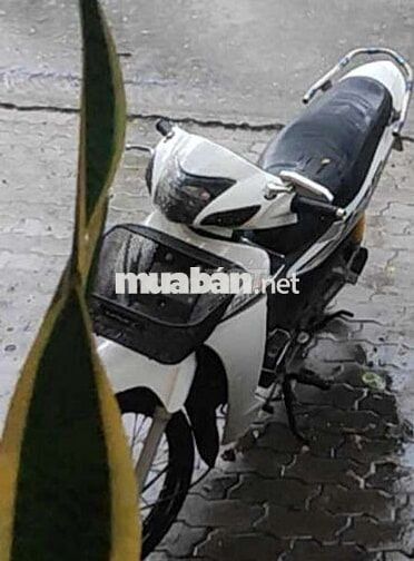 Honda Wave màu Trắng