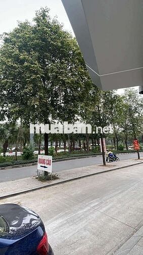 CHO THUÊ NHÀ NGÔ GIA TỰ 80M²x 2T. Ô TÔ TRÁNH ĐỖ NGÀY ĐÊM – CHỈ 15TR/TH