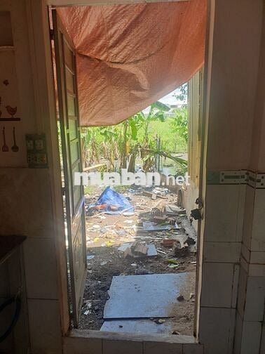 CHO THUÊ NHÀ NGUYÊN CĂN CÓ SÂN SAU TRỒNG RAU NUÔI GÀ VỊT 