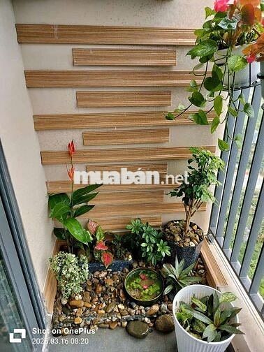 Cho thuê chung cư 1pn+1 view biển, núi trực diên siêu chill