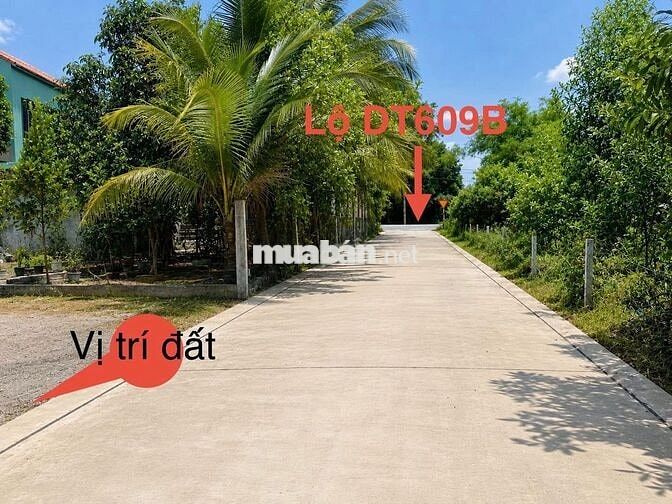 5 LÔ LIỀN KỀ - ĐÀ NẴNG WEST GATE - CÁCH LỘ CHỈ 20M - CHỈ 8XXTR/LÔ