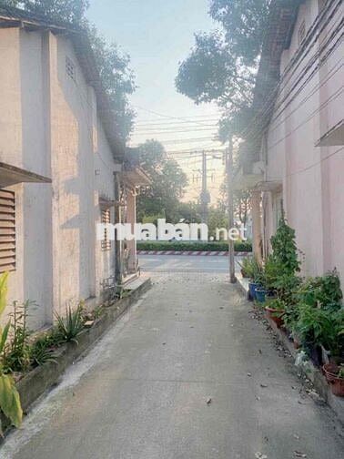 Bán Đất Gần Ngã Tư Cây Me Đại Nam