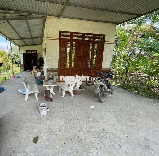 CẦN RA ĐI NHÀ VƯỜN CÓ SẴN CÂY ĂN TRÁI