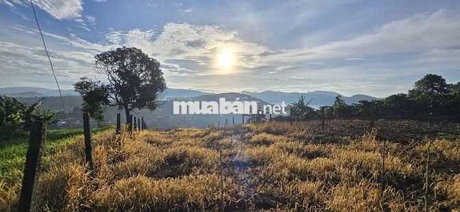 Đất săn mây Nam Ban gần Đà Lạt
