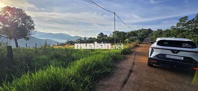 Đất săn mây Nam Ban gần Đà Lạt