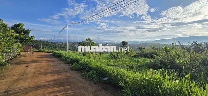 Đất săn mây Nam Ban gần Đà Lạt