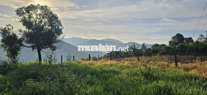 Đất săn mây Nam Ban gần Đà Lạt