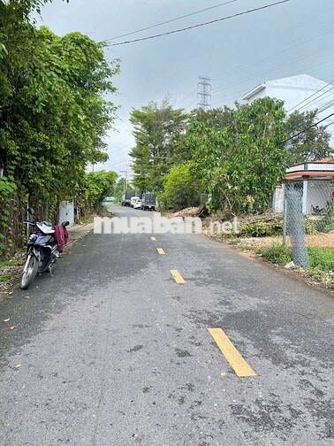 CẦN RA ĐI NHÀ VƯỜN CÓ SẴN CÂY ĂN TRÁI