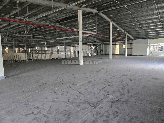 Cho thuê kho xưởng Khu Công Nghiệp Hải Sơn