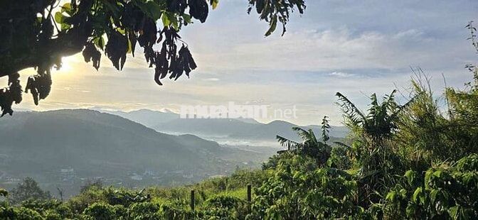 Đất săn mây Nam Ban gần Đà Lạt