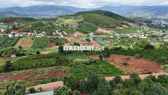 Đất săn mây Nam Ban gần Đà Lạt