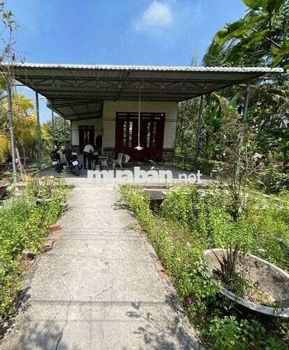 CẦN RA ĐI NHÀ VƯỜN CÓ SẴN CÂY ĂN TRÁI