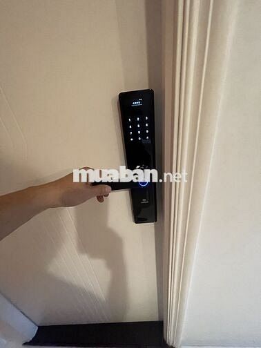 Cho thuê căn hộ 50m2 mặt tiền đường Lê Văn Quới, tiện nghi, an ninh