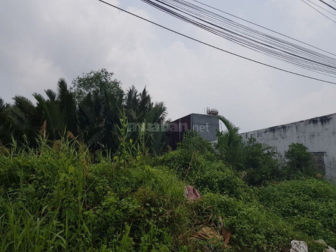 Cho thuê đất tại hẻm 1627 Huỳnh Tấn Phát P Phú Mỹ Quận 7 TPHCM. 