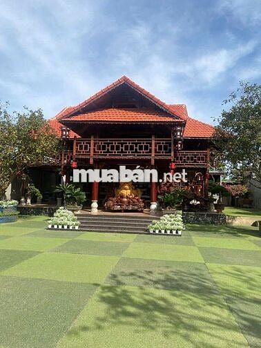 Bán gấp đất mặt tiền Hùng Vương, Di Linh, 1088m2 có 400m2 TC