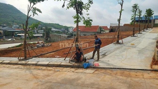 🔥 CHÍNH CHỦ BÁN ĐẤT GIÁP VIN HẠ LONG XANH – GIÁ CHỈ TỪ 2TỶ 