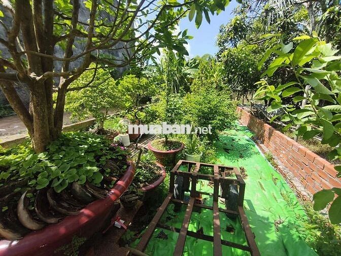 BÁN NỀN 95.9m2 LỘ 4.5M -  HẺM 4 BÙI HỮU NGHĨA (DT918)