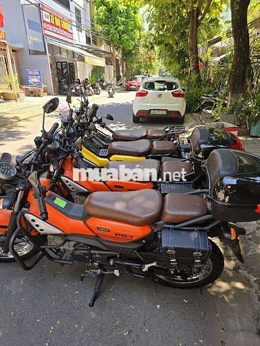 Yamaha PG-1 2024-2025 Nhiều màu