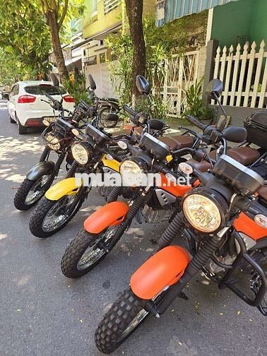 Yamaha PG-1 2024-2025 Nhiều màu