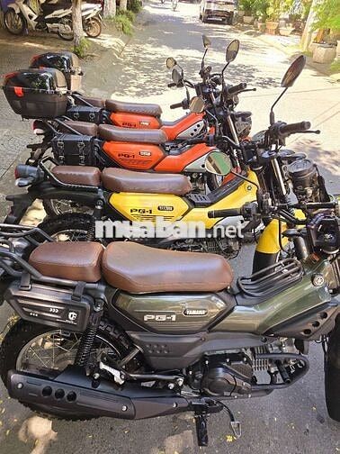 Yamaha PG-1 2024-2025 Nhiều màu