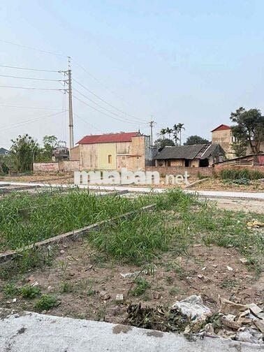 Bán đất tại Dương Quang, 1 tỷ, 60m2, pháp lý đầy đủ, hàng hiếm tại Hot