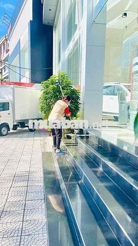 Cần tuyển nhân viên tạp vụ có sức khoẻ ở Tân Phú