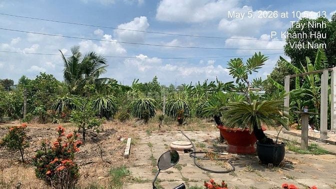 BÁN ĐẤT FULL THỔ NGAY SÁT VÀNH ĐAI TÂN AN