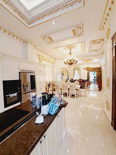 Biệt thư phong cách Châu Âu tại Q.Tân Bình - 10,3m x 34m chỉ 6X tỷ