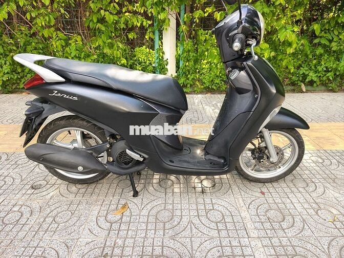 Zanus ĐK 2018 bstp chín  chủ