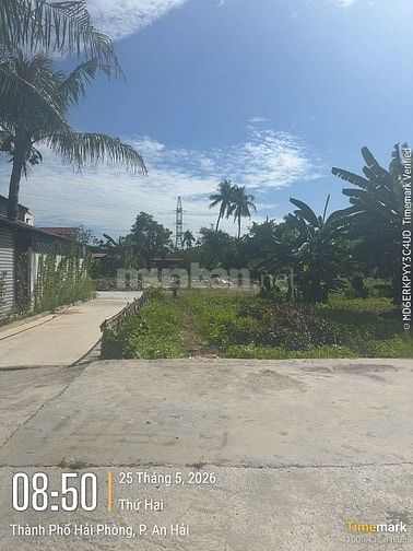 Bán đất 63m2 Bạch Mai An Hải Phòng