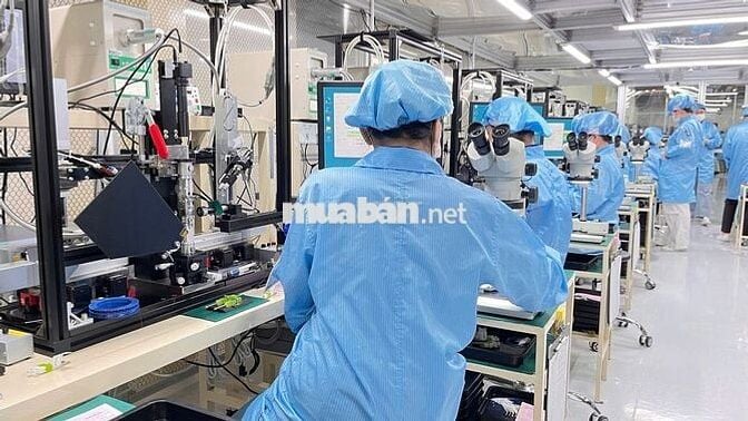 Việc làm 8.5tr-12tr tại KCN Tân Bình CTY Điện Tử